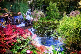 Pond. foliage, sculpture