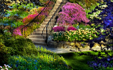Stairs. foliage